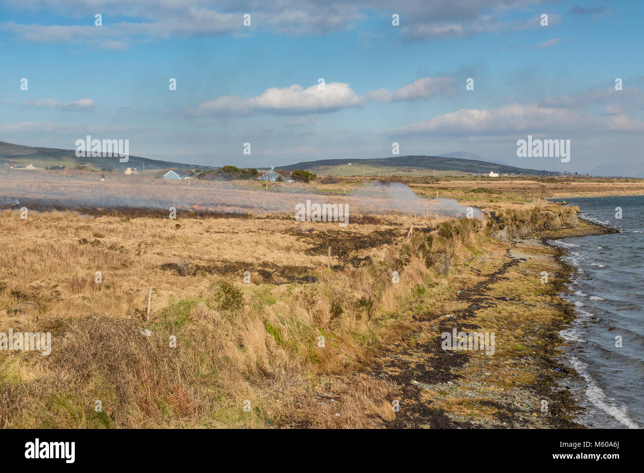 Gorse Fire' isola Valentia Contea di Kerry Irlanda Foto Stock