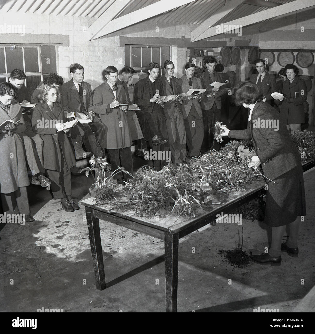 Degli anni Cinquanta, storico presso una scuola superiore di agraria, un gruppo di studenti in piedi all'interno di un edificio rustico, tenendo giù le note, come essi sono mostrati una gamma di diversi bulbi vegetali da un insegnante femminile, Inghilterra, Regno Unito. Negli anni del secondo dopoguerra in Gran Bretagna con il proseguire del razionamento alimentare, vi era una speciale attenzione alla formazione dei giovani a proposito di agricoltura, di metodi di allevamento e di produzione alimentare. Foto Stock