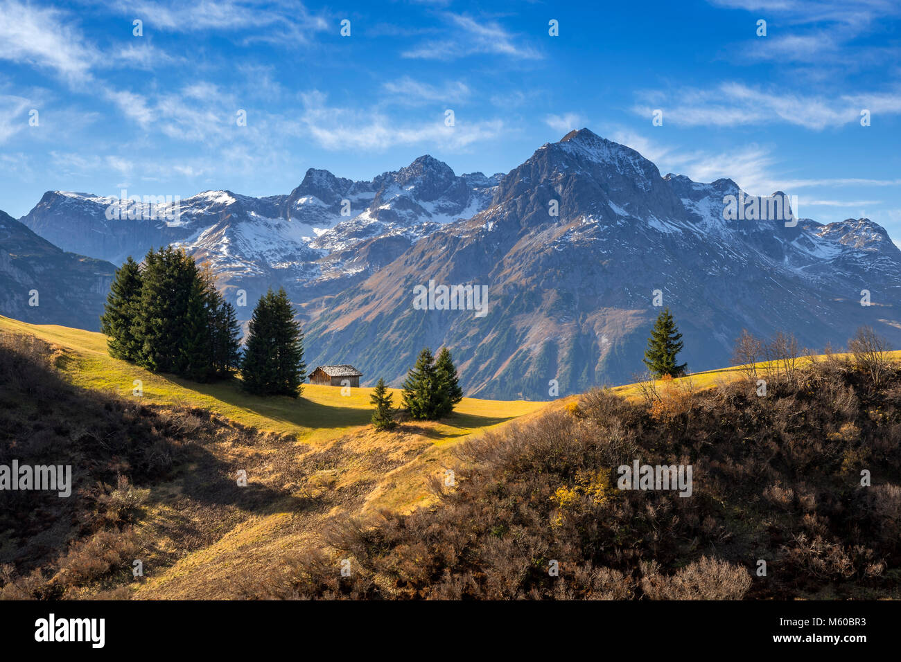 Prati di montagna in autunno vicino a Lech am Arlberg, Vorarlberg, Austria. Sullo sfondo il Monte Omeshorn (2557 m) Foto Stock