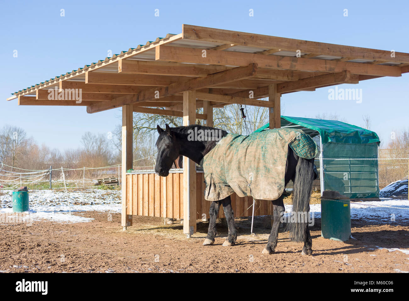 Cavalli domestici. Cavallo con rug in piedi in un all-weather paddock d'inverno. Germania Foto Stock