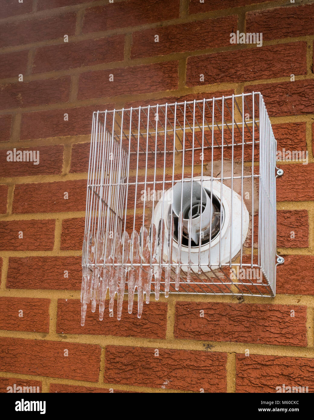 Ipswich, Inghilterra. Ghiaccioli si formano sulle aperture di caldaia come gli anziani cercano di tenersi caldo quando "La Bestia da est' freddo proveniente dalla Siberia colpisce il Regno Unito. I fumi della caldaia si condensano sulla sua bocca di gabbia protettiva, che forma ghiaccioli come essi freeze. Foto Stock