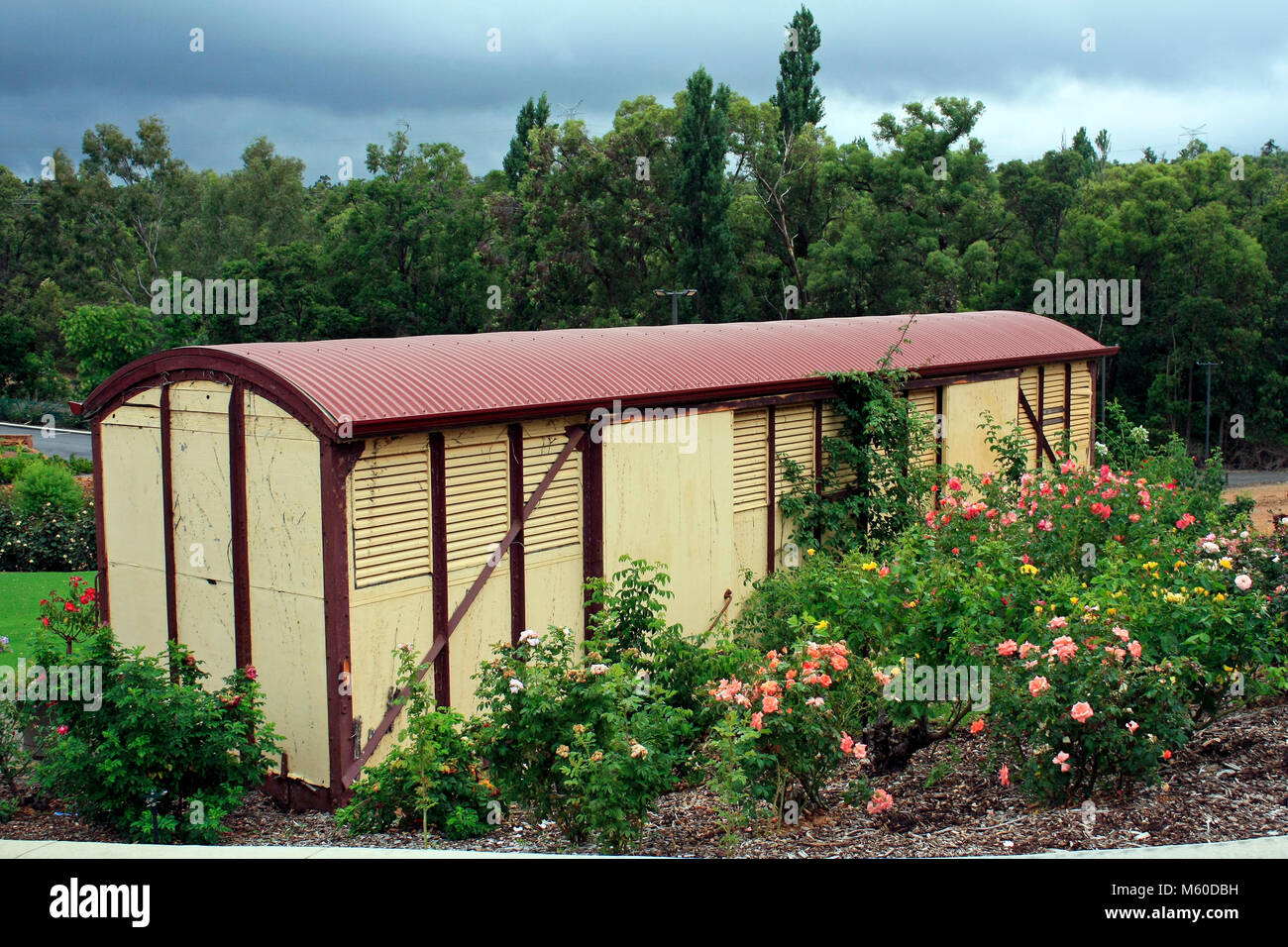 Stazione ferroviaria carro merci giardino vivaio sparso sulle colline di Perth Australia Foto Stock
