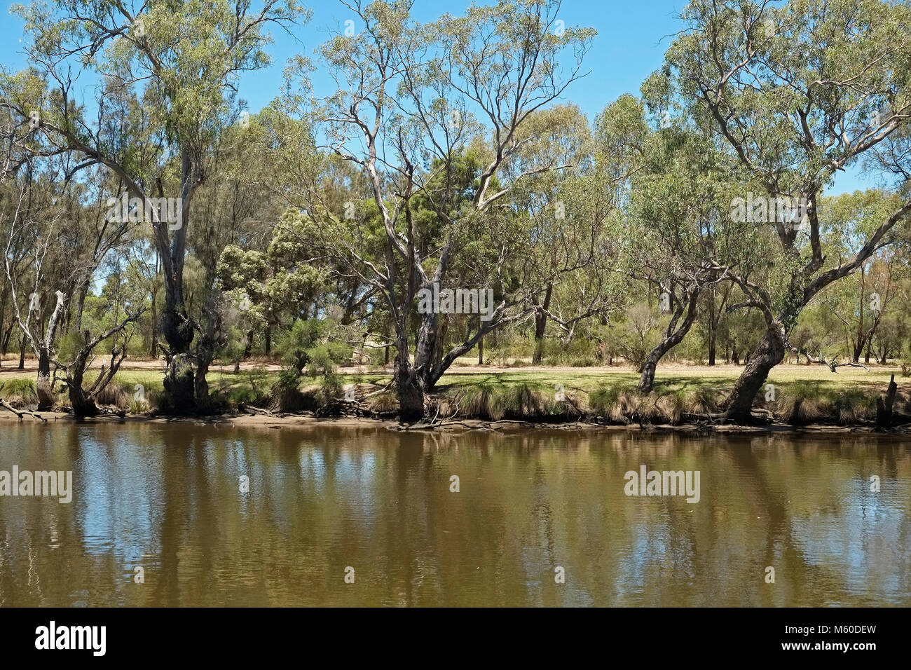 Attraverso il fiume Swan Perth W.A. Australia occidentale Foto Stock