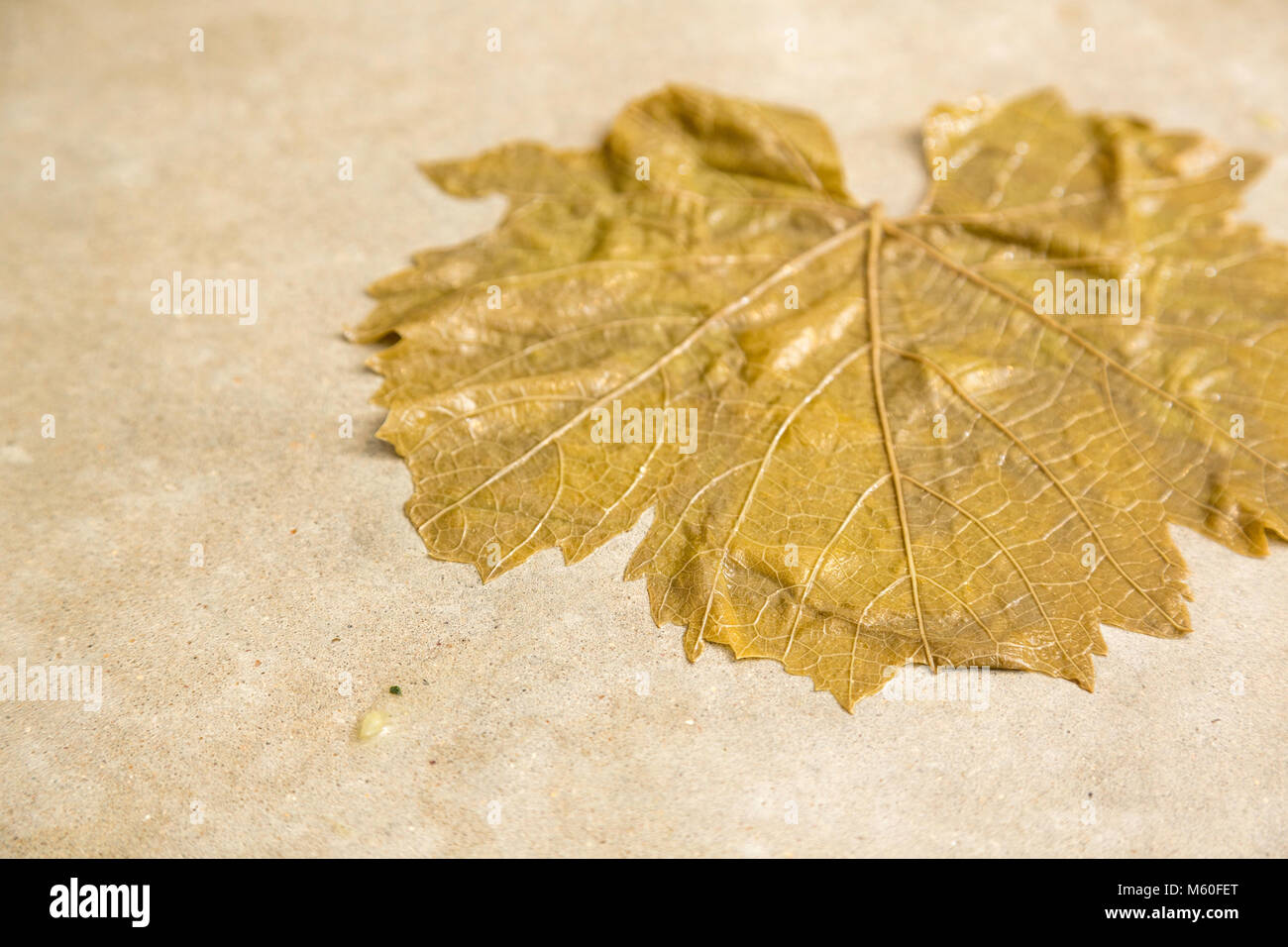 Greco uva ripiene foglie con riso ed erbe (Dolmadakia) Foto Stock