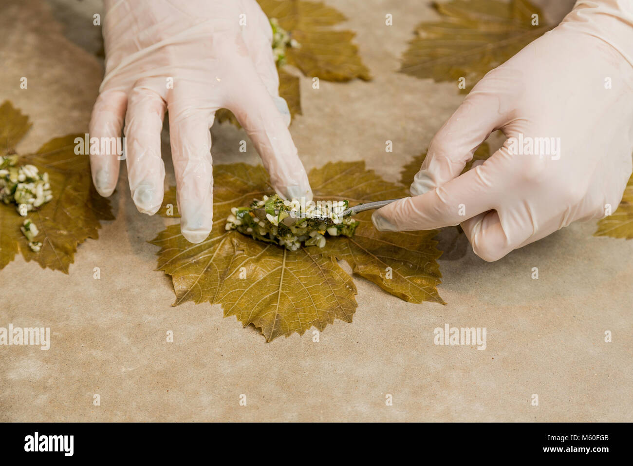 Greco uva ripiene foglie con riso ed erbe (Dolmadakia) Foto Stock