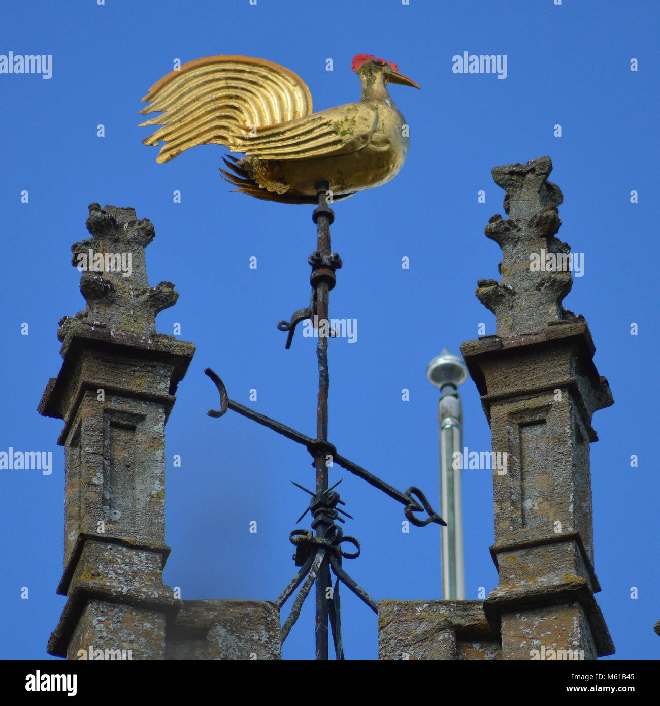 St Bartholemews Chiesa, Crewkerne, Somerset su un fine giornata invernale Foto Stock