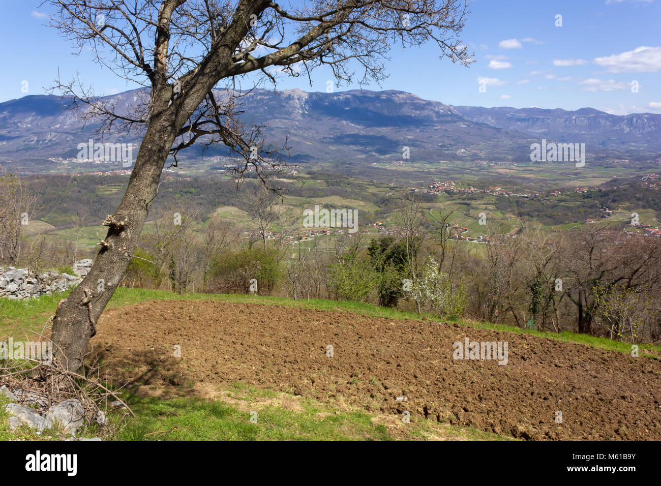 Valle del Vipava, Slovenia, in primavera Foto Stock