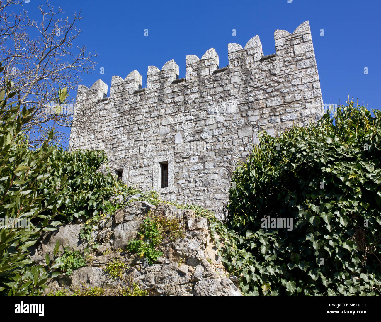 Branik castello, Slovenia, in primavera Foto Stock