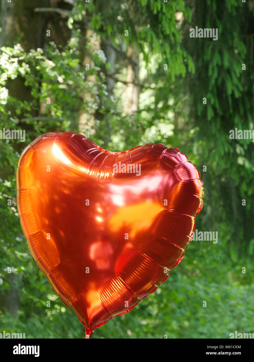 Cuore rosso palloncino volare prima di foresta verde Foto Stock