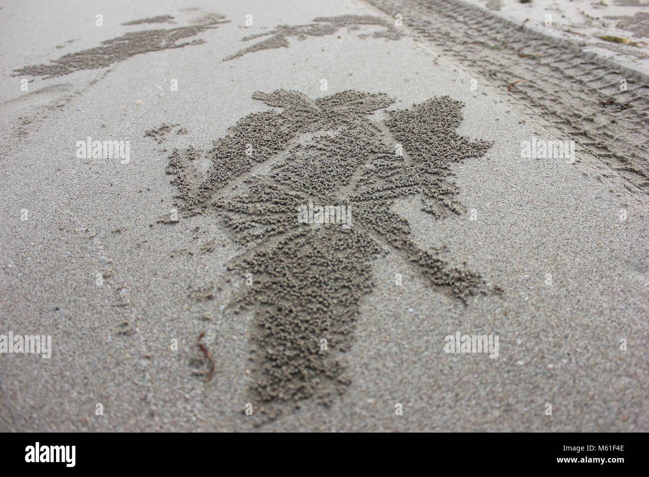 Spiaggia di sabbia arte Foto Stock