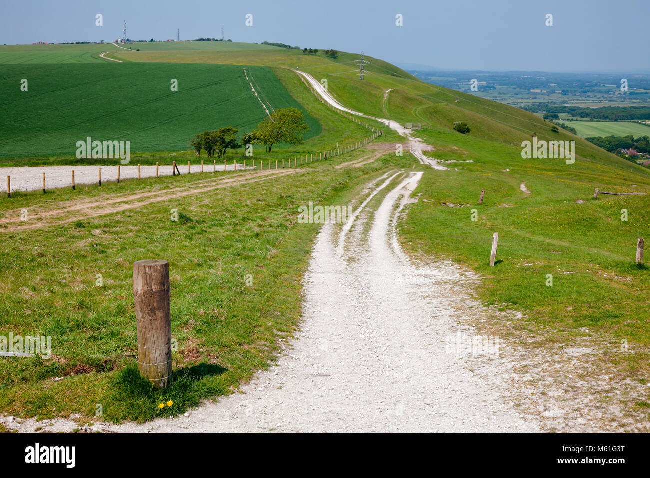 South Downs Way, una lunga distanza sentiero e bridleway lungo il South Downs colline del Sussex, Inghilterra meridionale, Regno Unito Foto Stock