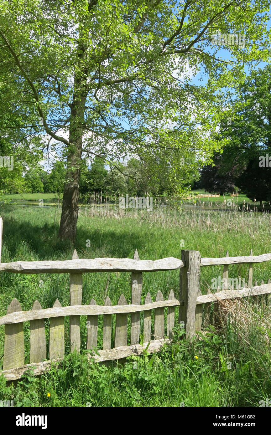 Un giorno d'estate a Stowe giardini paesaggistici nel Buckinghamshire, proprietà del National Trust; questa vista mostra un rustico Picket Fence da un albero glorioso. Foto Stock