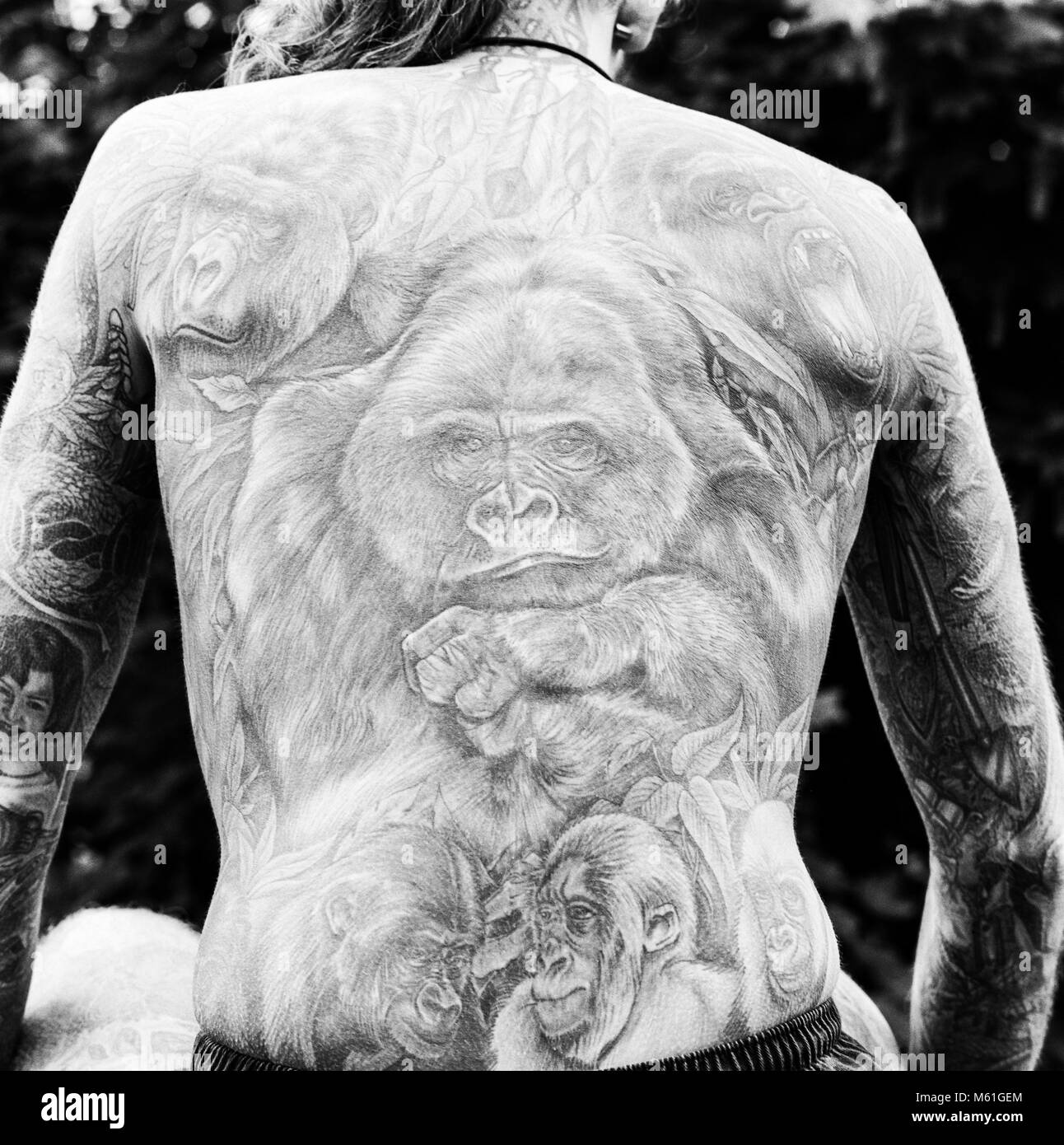 Hamish Robertson Halley, tattoed man, tattoist, forato, archiviazione fotografia fatta il 2 maggio 1993 Foto Stock