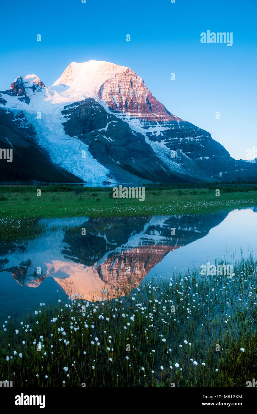 Monte Robson riflessa in Berg Lago, Monte Robson Provincial Park, British Columbia, Canada Foto Stock