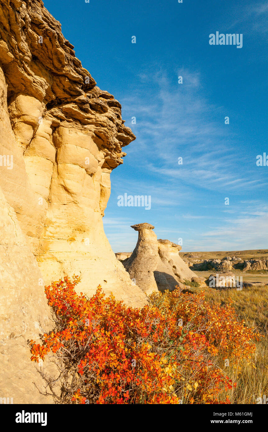 Hoodoos, la scrittura su pietra Parco Provinciale, (noto anche come "ÃÃ-sÃ-nai"pi' dal Blackfoot Nazione) Alberta, Canada Foto Stock