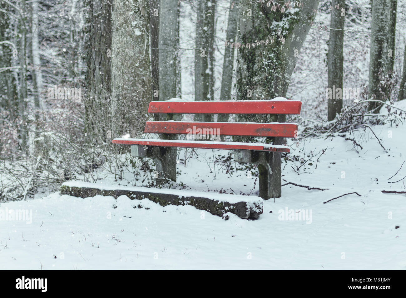 Neve coperto rosso banco a foresta nella stagione invernale Foto Stock