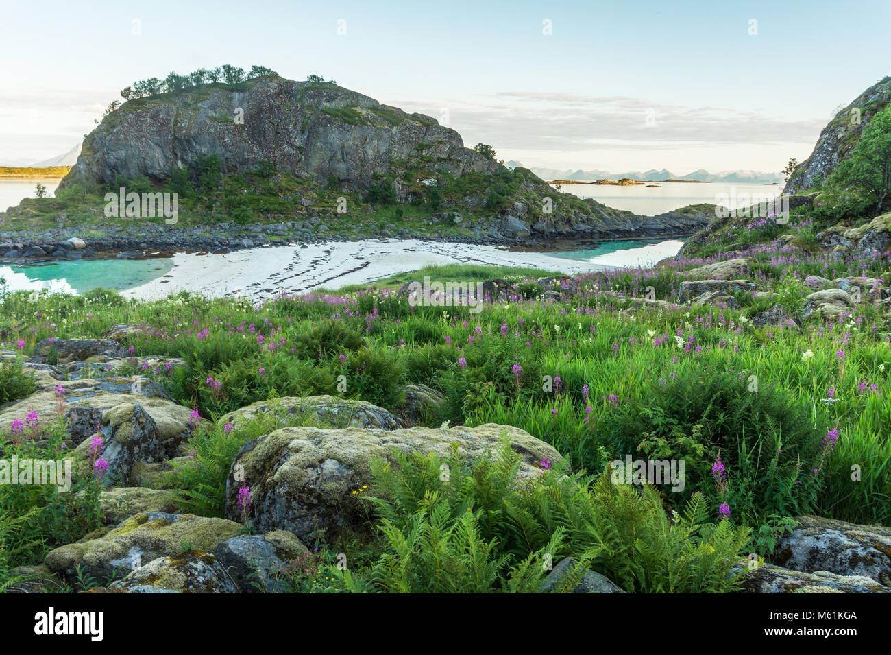 Isolotto Trollskarholmen. Spiaggia rocciosa fioritura di erbe e di una spiaggia sabbiosa , Arstein, Lofoten, Norvegia Foto Stock