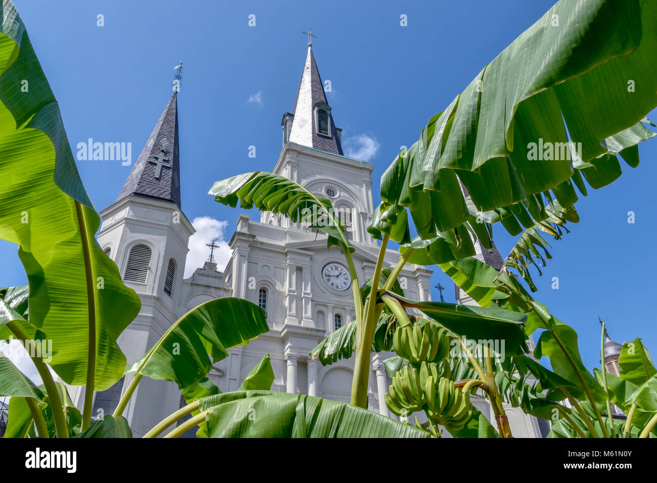 La Cattedrale di San Louis è la più antica cattedrale cattolica in uso continuo negli Stati Uniti La struttura esistente è stato costruito nel 1850. Foto Stock