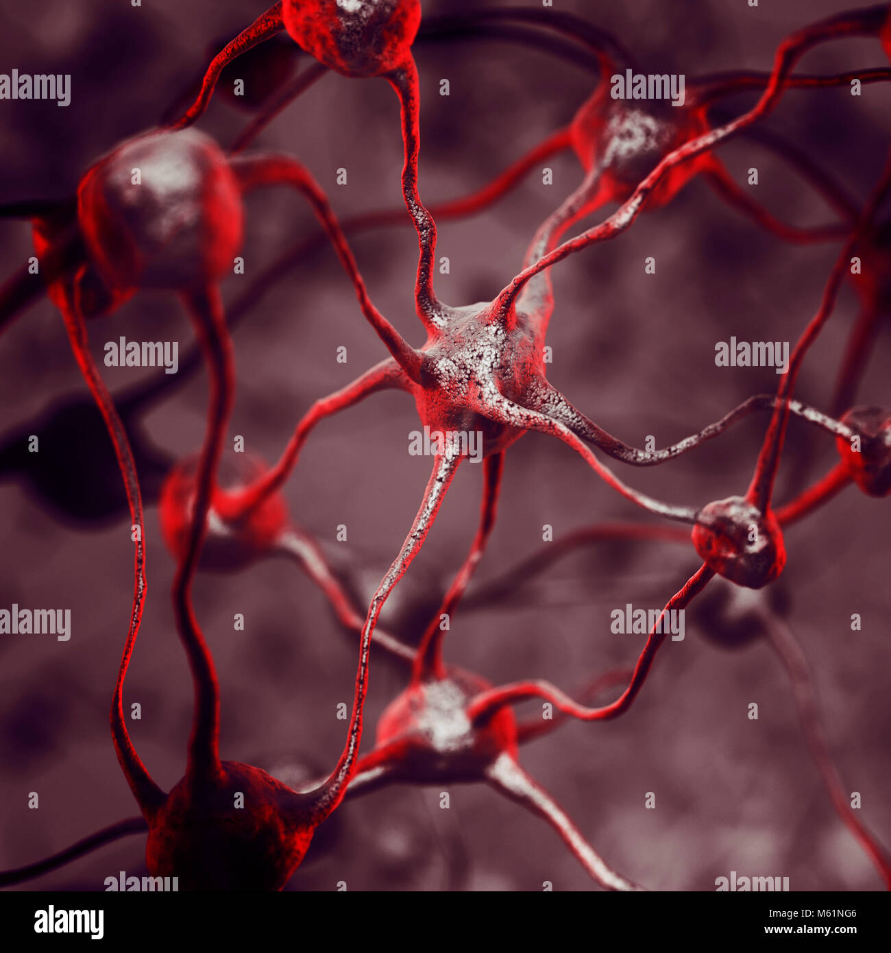 Rete neurale biologica del cervello umano, interconnessi tra loro neuroni, cellule del cervello e dei collegamenti, neuroscienze, concettuale scientifica 3D illustrazione Foto Stock