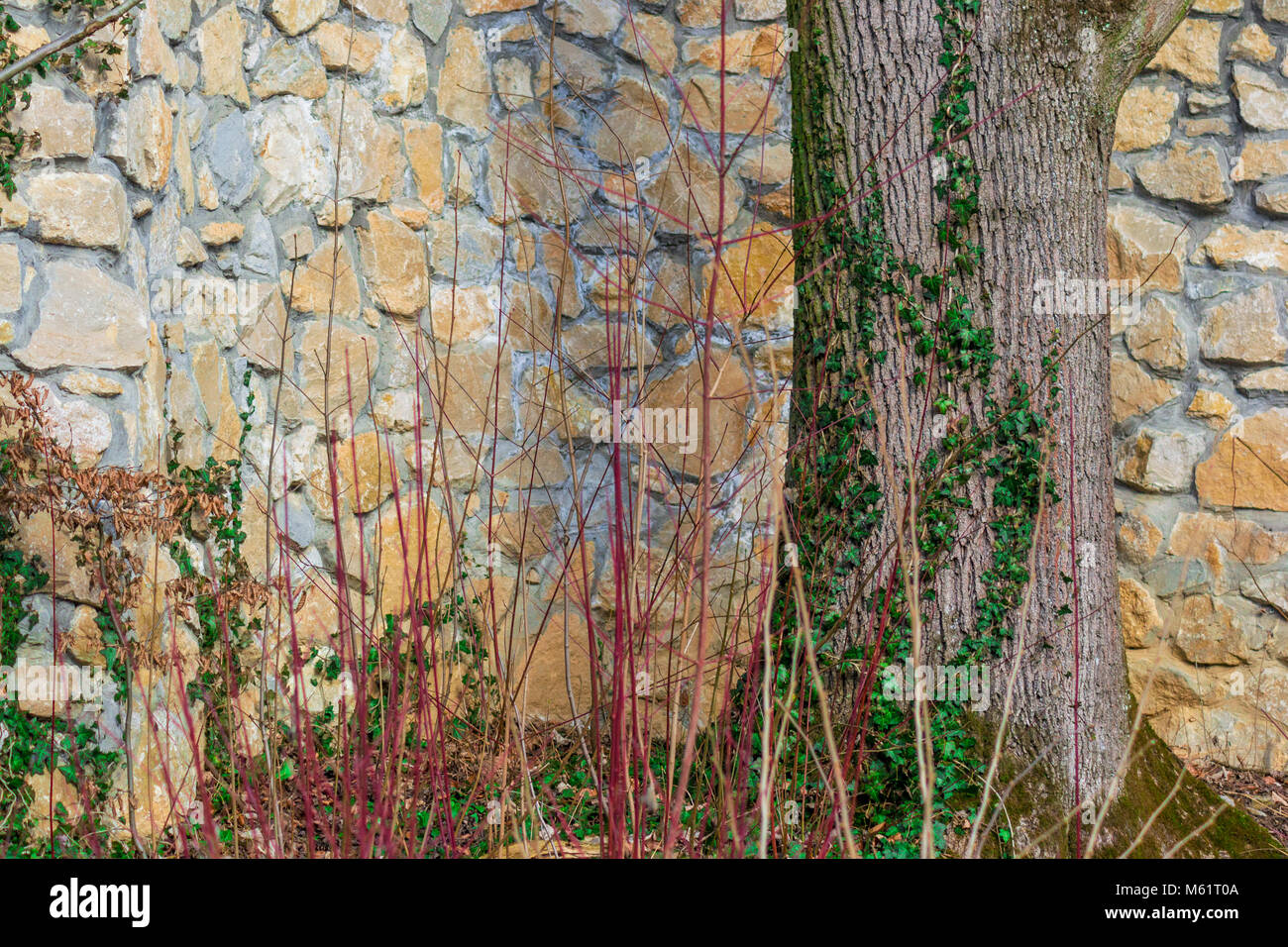 Fotografia di natura luoghi Foto Stock