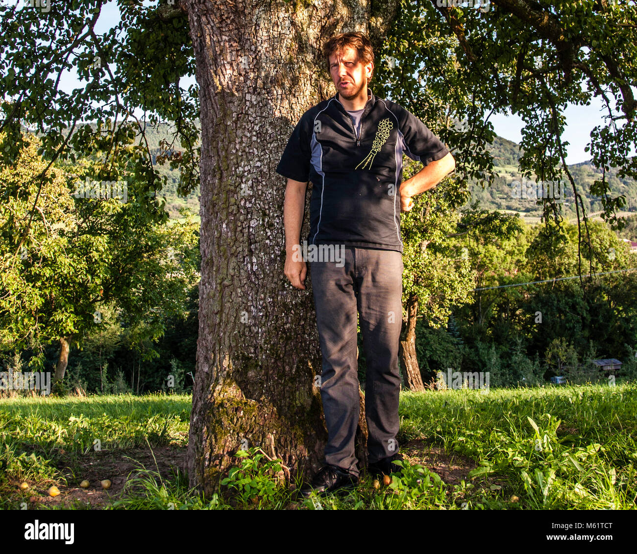 Jörg Geiger Manufaktur per vino di frutta e succhi. Jörg Geiger sotto un albero di pera di 200 anni. La sua varietà preferita è lo Stuttgarter Geißhirtle. Le piccole pere da tavola sono per lui un'importante memoria del gusto fin dall'infanzia Foto Stock