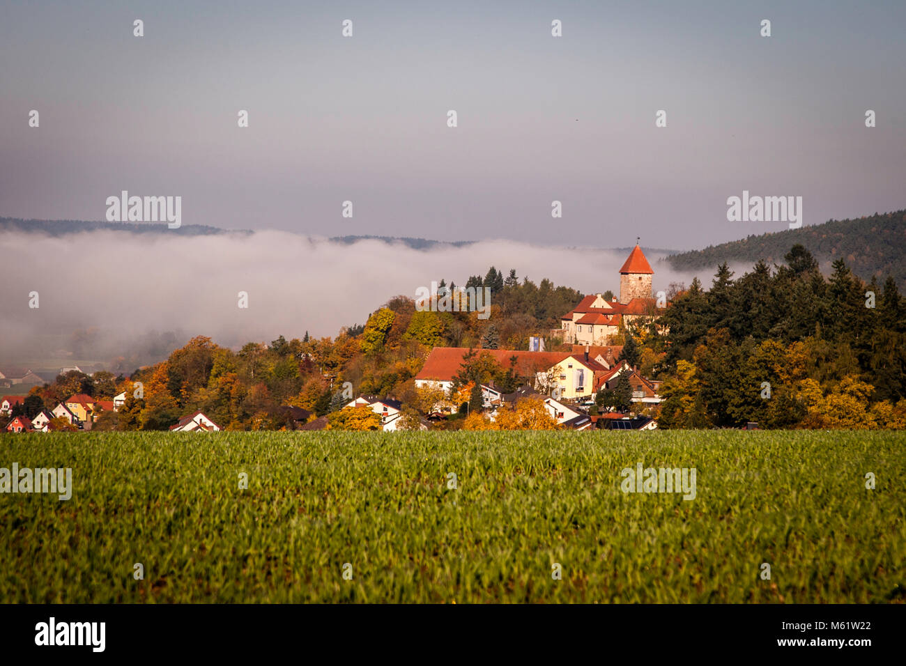 Burg Wernberg castello tedesco in Baviera in un wafer di nebbia. Il verde paesaggio collinare del Palatinato superiore e del Castello di Wernberg nel mezzo della nebbia mattutina Foto Stock