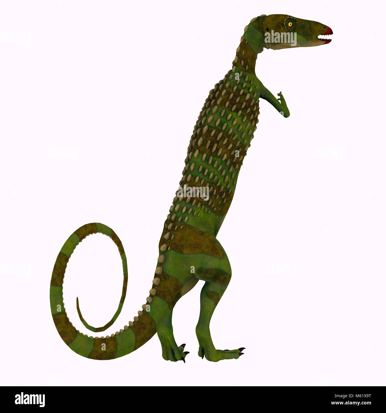 Scutellosaurus era un erbivoro corazzato dinosauro che viveva in Arizona, Stati Uniti d'America durante il Giurassico. Foto Stock