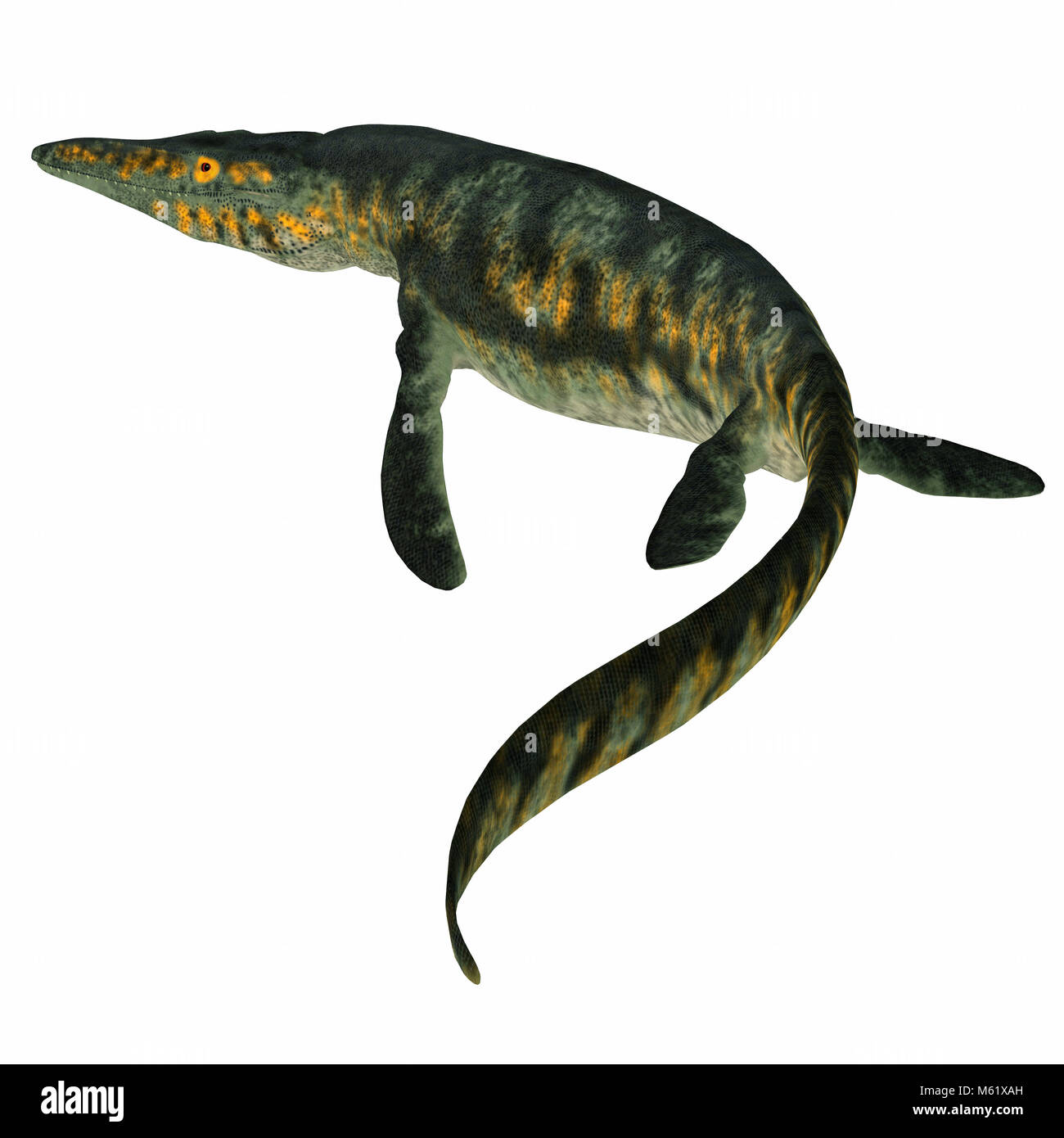 Tylosaurus rettile marino - Tylosaurus era un carnivoro rettile marino che ha vissuto in Nord America Western Interior Seaway durante il Cretacico. Foto Stock
