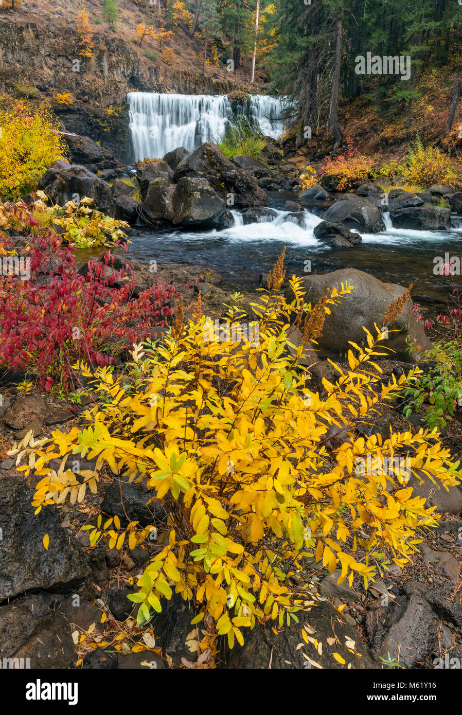 Abbassare McCloud River Falls, Shasta-Trinity National Forest, California Foto Stock