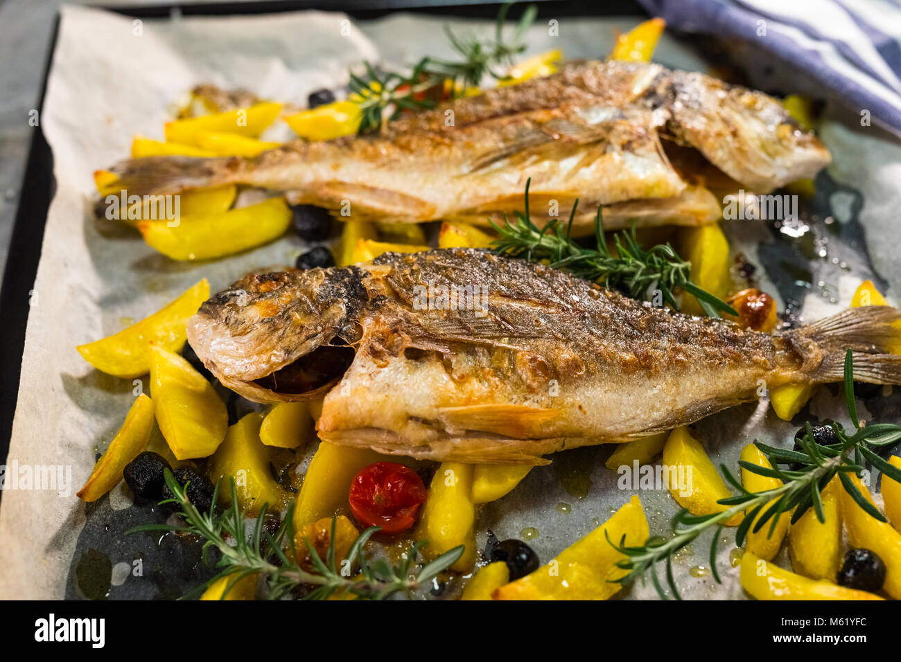 Orata alla griglia orate Foto Stock