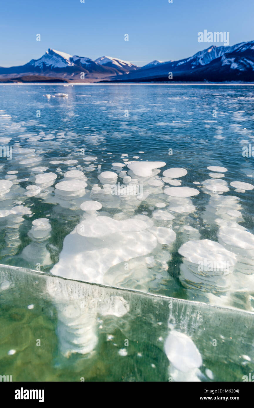 Abramo Lago bolle congelati Foto Stock
