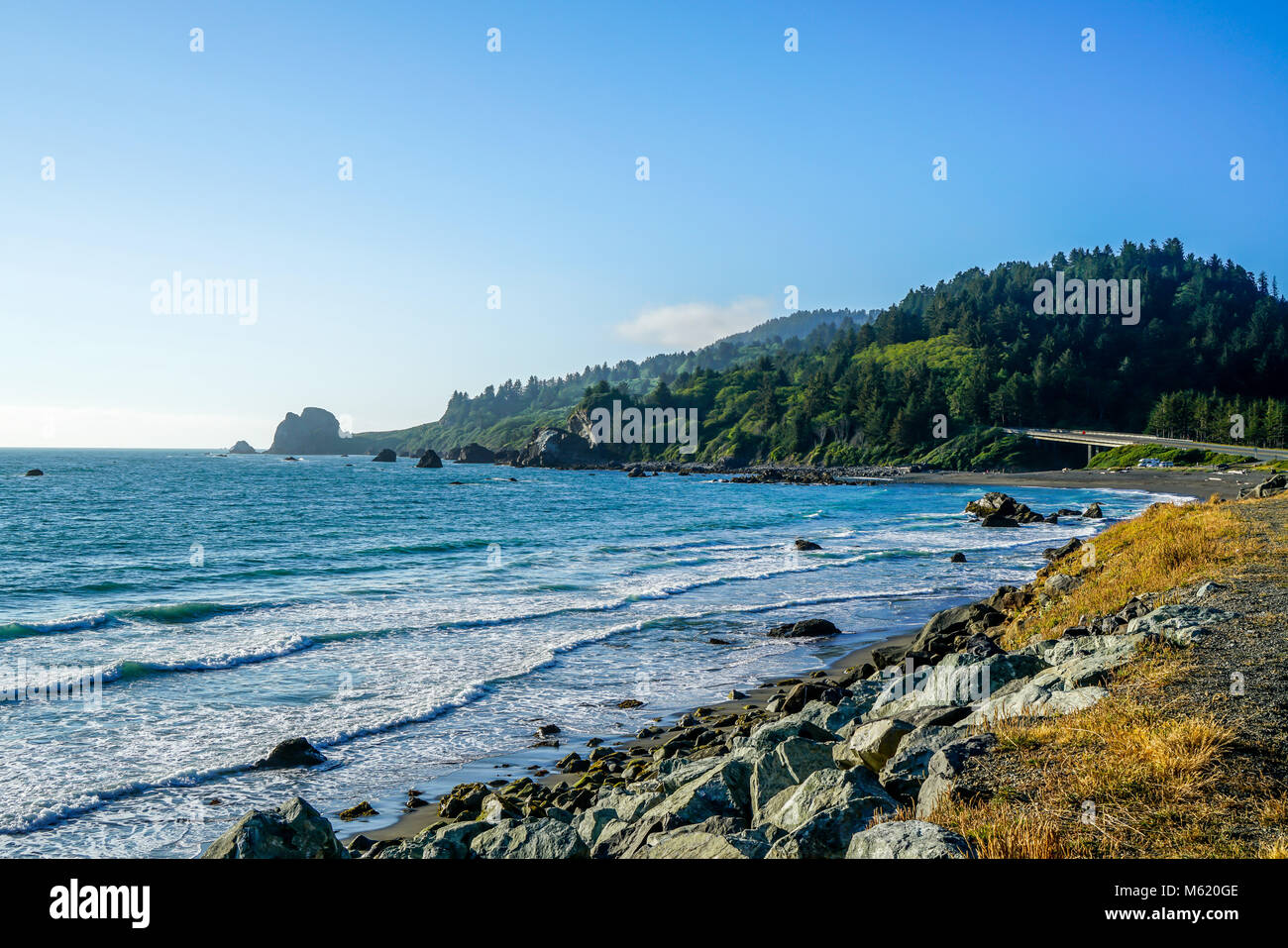 Alcune della California del nord incredibile costa con spiagge di sabbia e rocce e alberi sempreverdi che venire a destra al bordo dell'acqua. Foto Stock