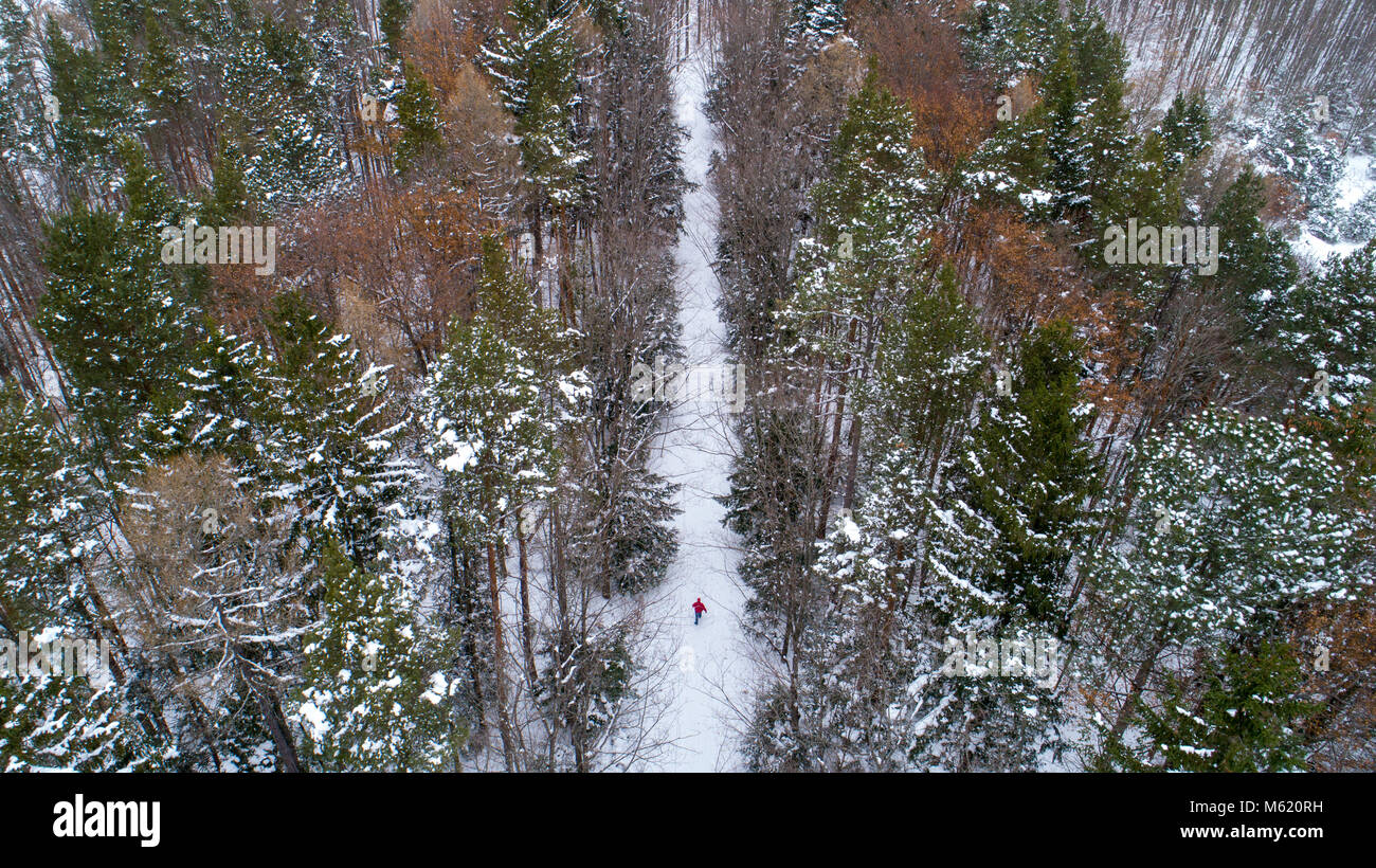 Lungo il sentiero del Lago vicino a Traverse City, MI. Foto Stock