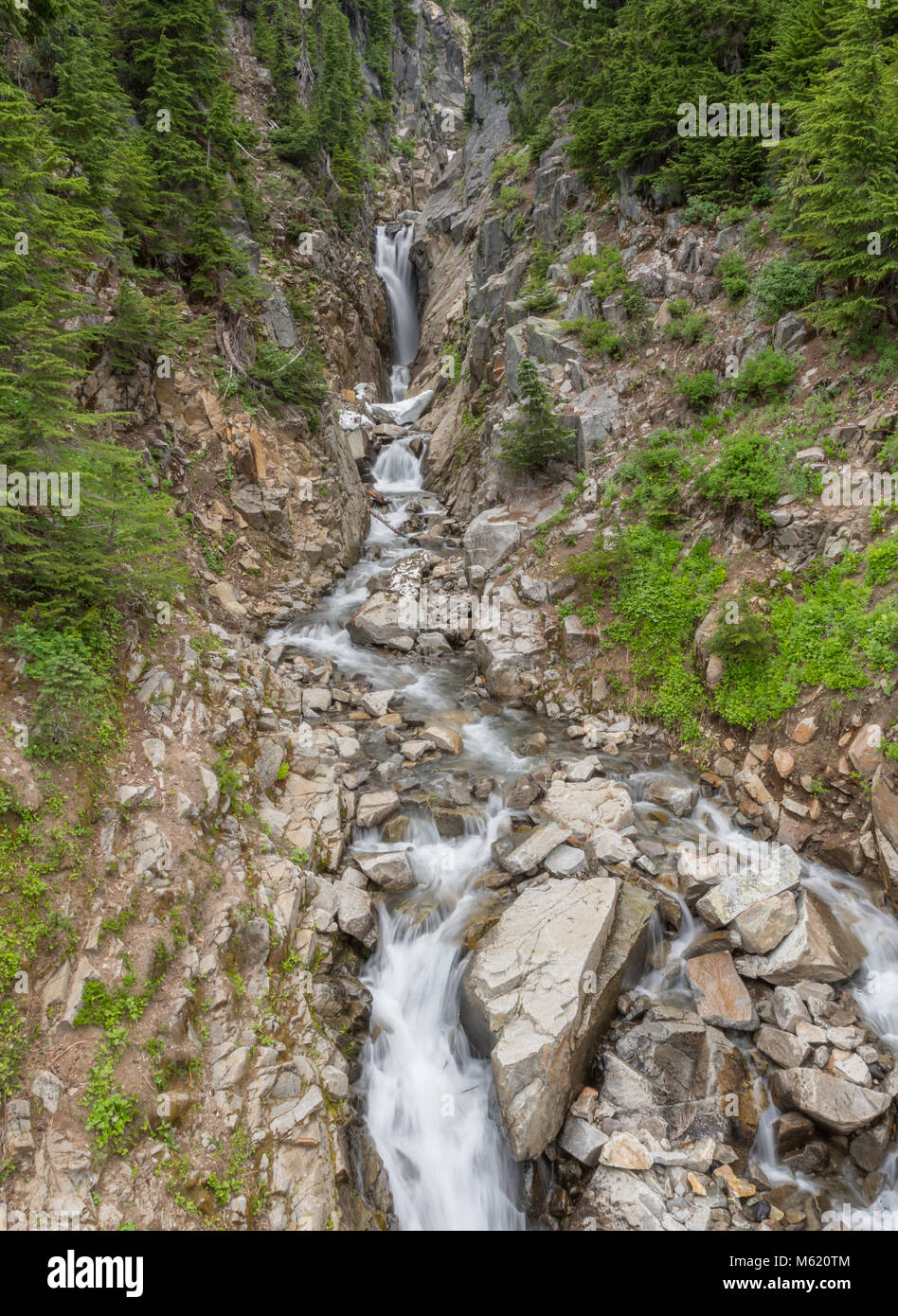 Edith Creek sotto il mirto cade in Mount Rainier Foto Stock