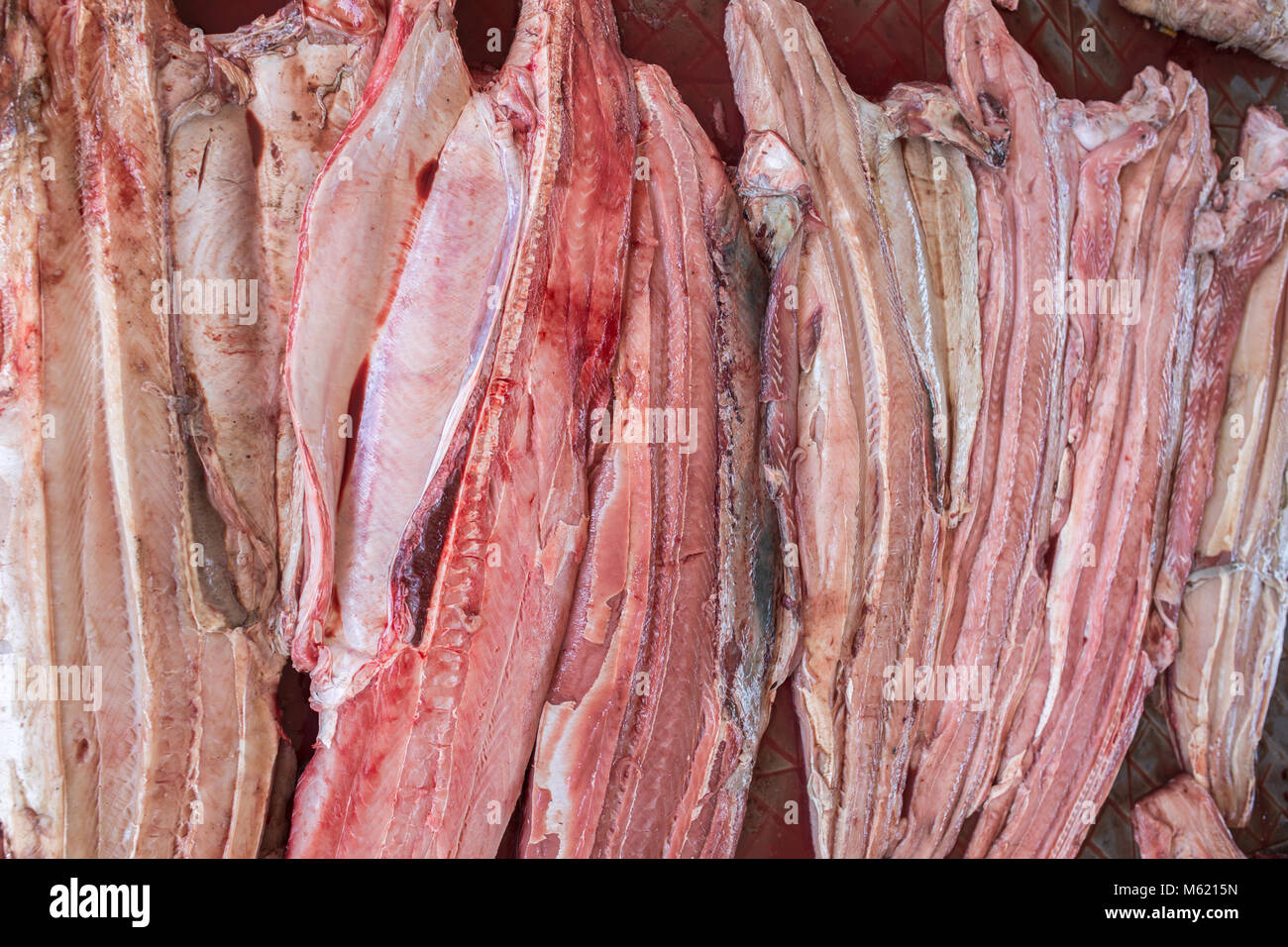 Squalo a fette di carne pronti per la vendita al mercato illegale. Foto Stock