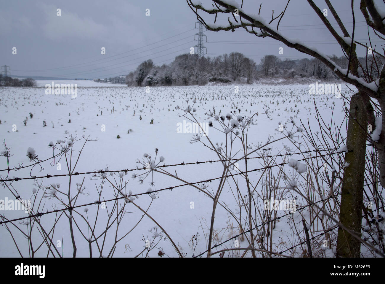 La neve copre il villaggio di Eccles sulla Bluebell Hill nel Kent Foto Stock