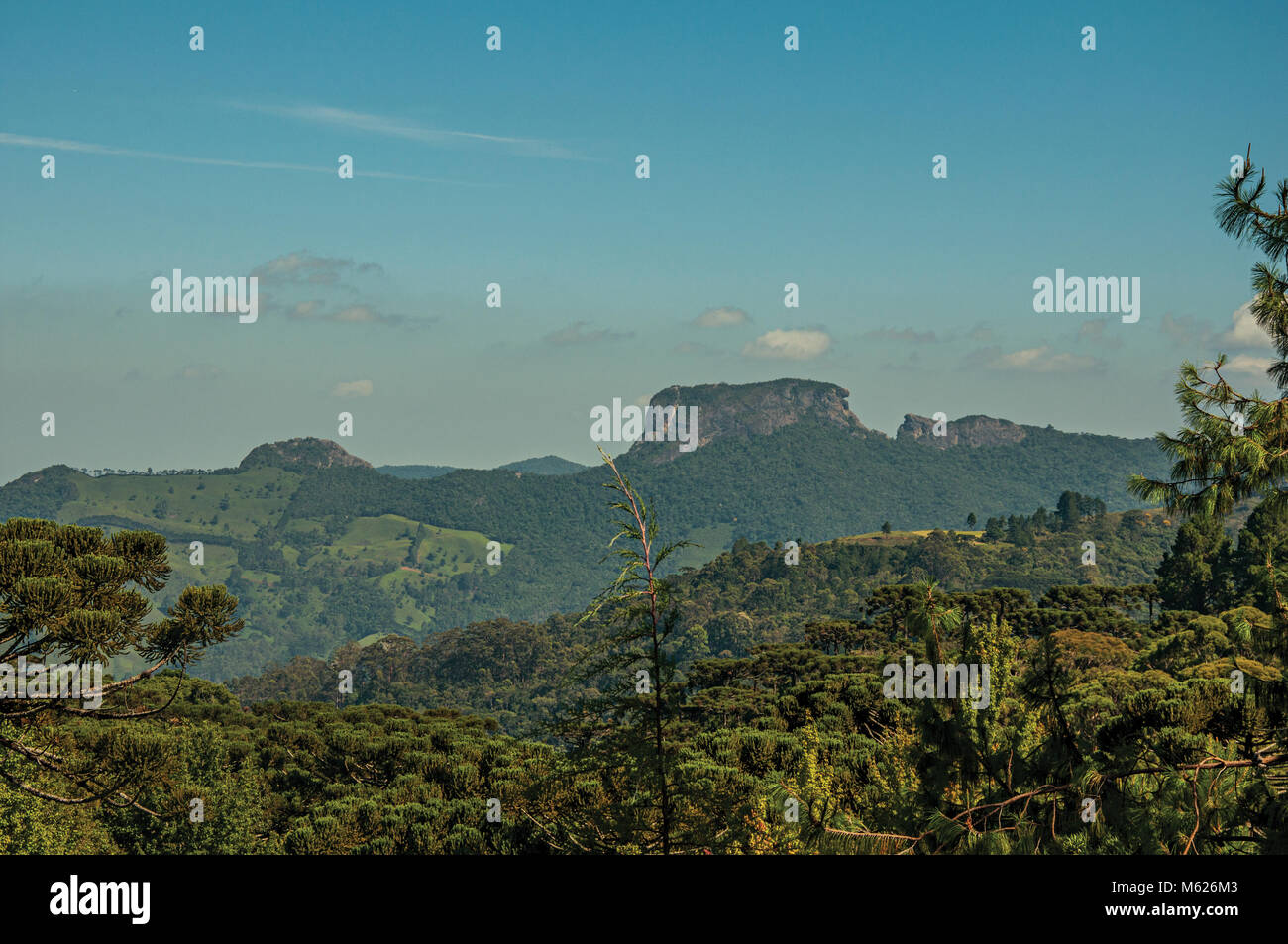 Vista panoramica della foresta e picco noto come "Pedra do Bau" in Campos do Jordao, famosa per il suo paesaggio di montagna. Il Brasile. Foto Stock