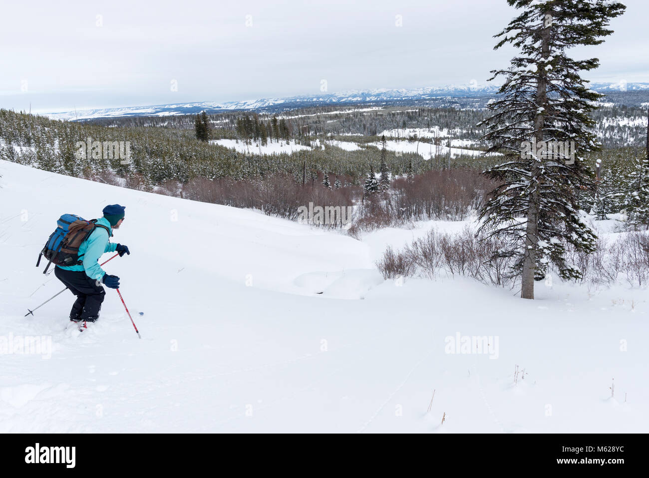 Sci Backcountry in Oregon Wallowa della montagna. Foto Stock