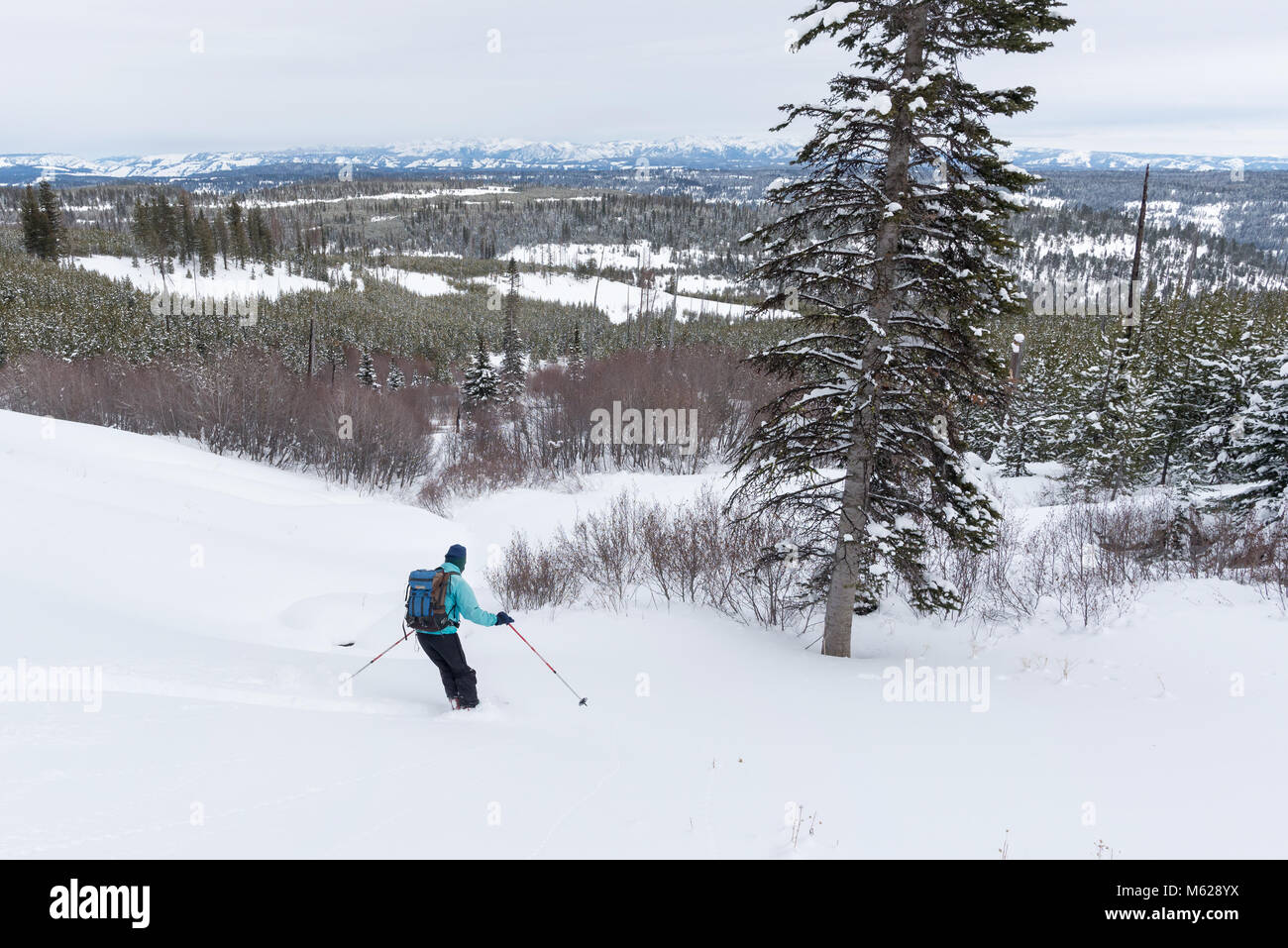 Sci Backcountry in Oregon Wallowa della montagna. Foto Stock