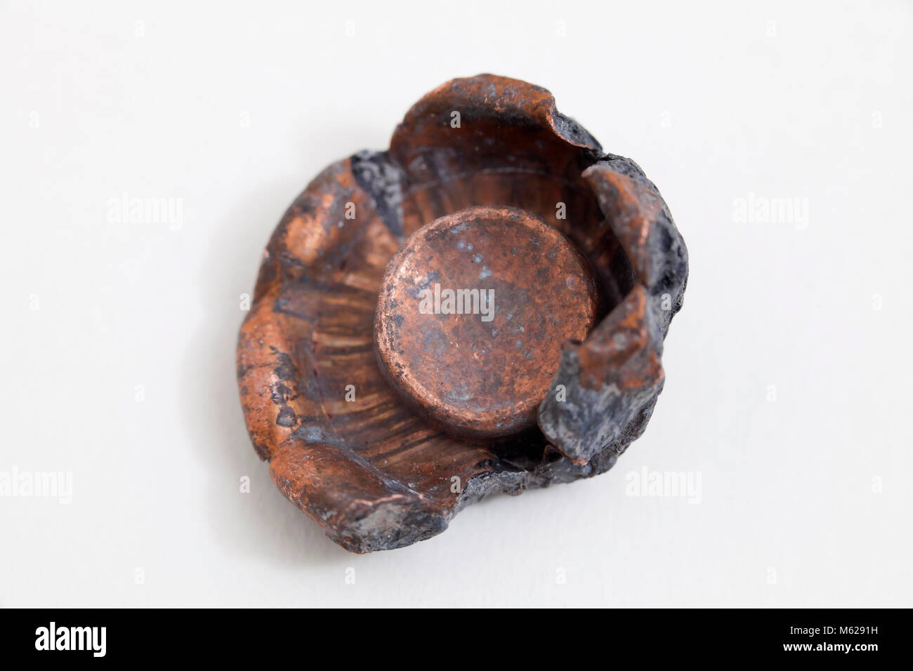 Recuperato proiettile sparato che mostra l'espansione, aka proiettili ad espansione (pallottole dumdum) Foto Stock