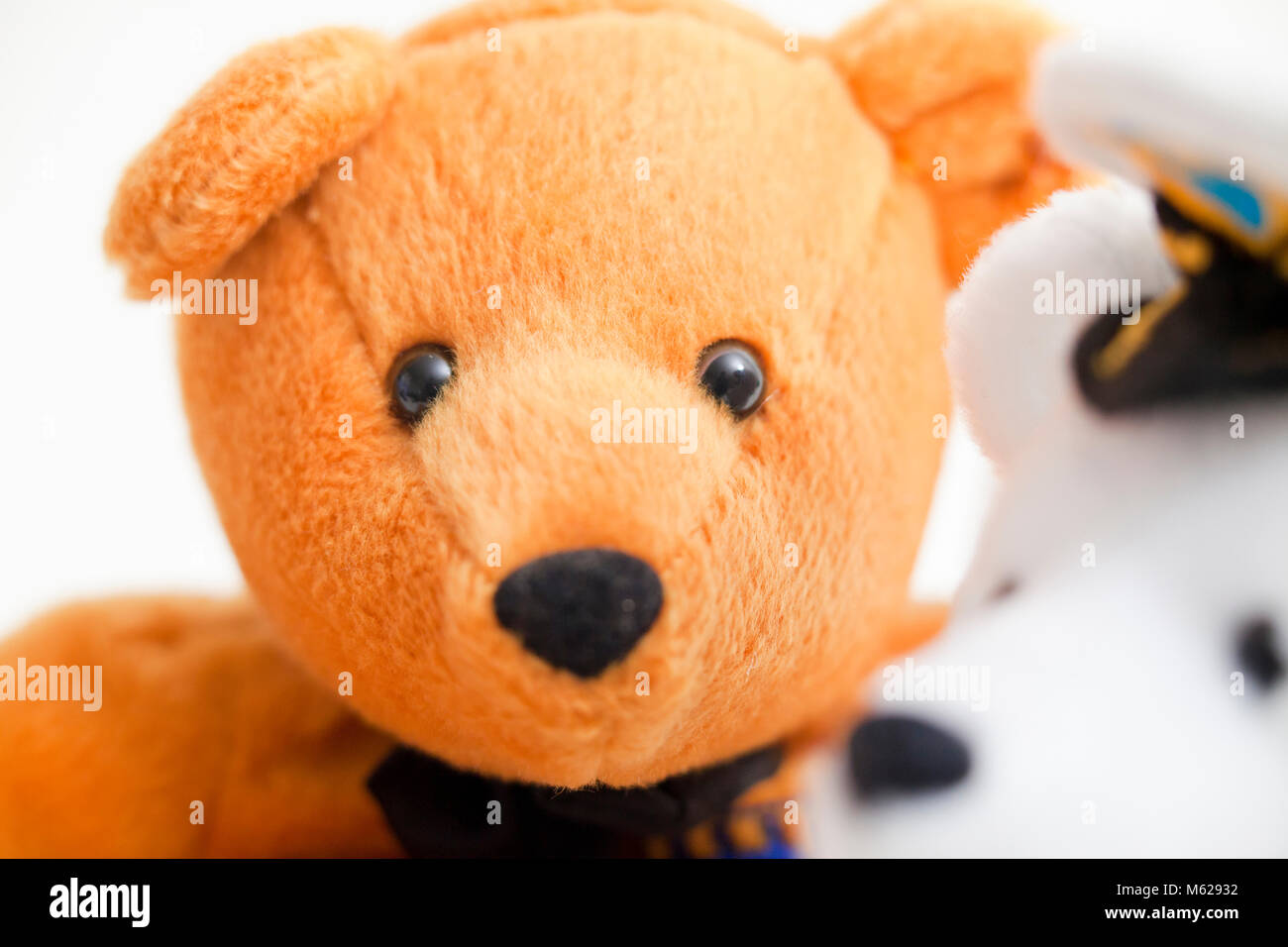 Due diversi colori degli orsetti closeup (orsacchiotto volti) Foto Stock