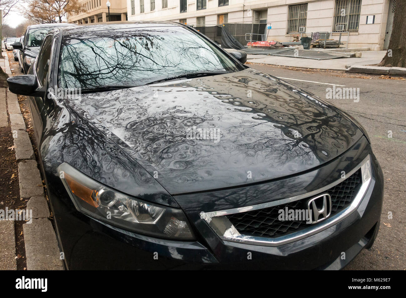 Danni da grandine sul cofano auto - USA Foto Stock