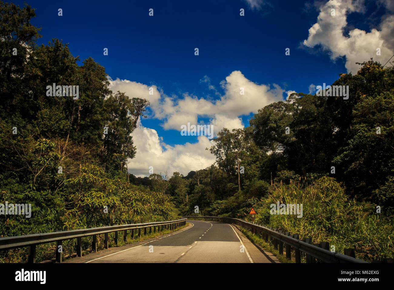 Strada asfaltata lungo la collina boscosa fuori di fronte finestra di bus con conducente lo specchietto laterale contro nuvoloso cielo blu Foto Stock