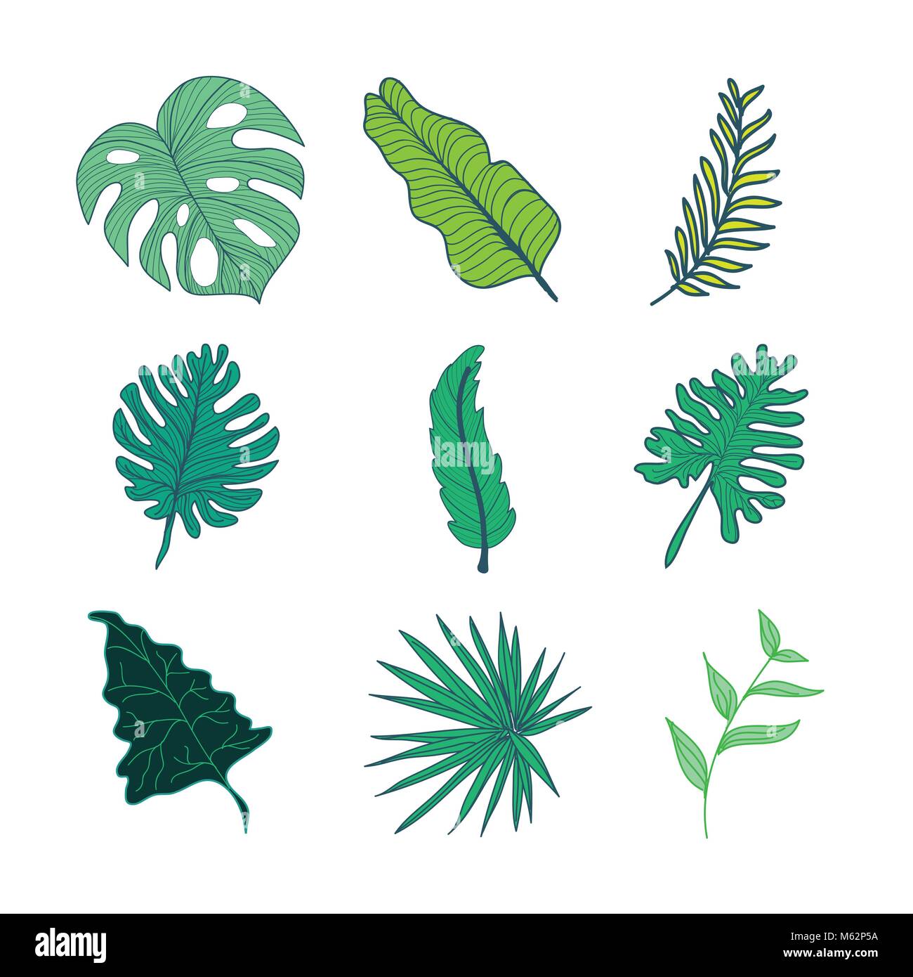 Vari tipi di foglie tropicali disegnati a mano illustrazione Set di asset Illustrazione Vettoriale