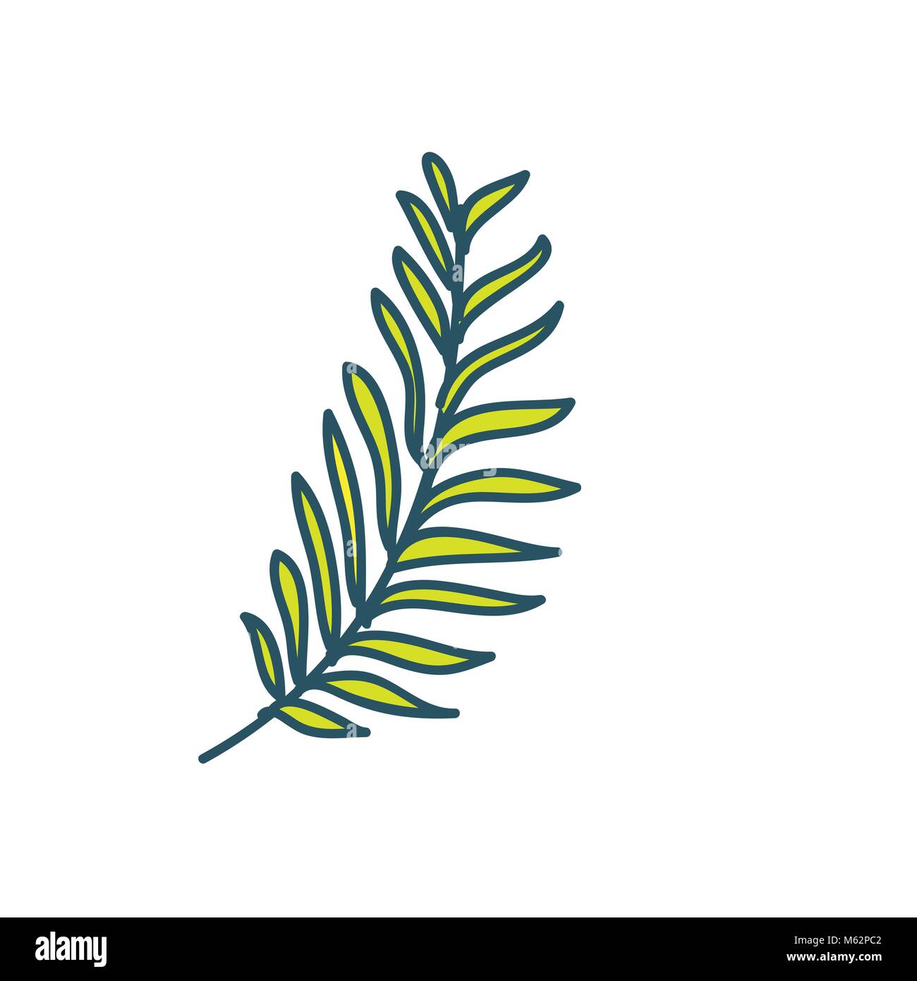 Anche tipo Pinnate Foglia tropicale disegnati a mano illustrazione Illustrazione Vettoriale