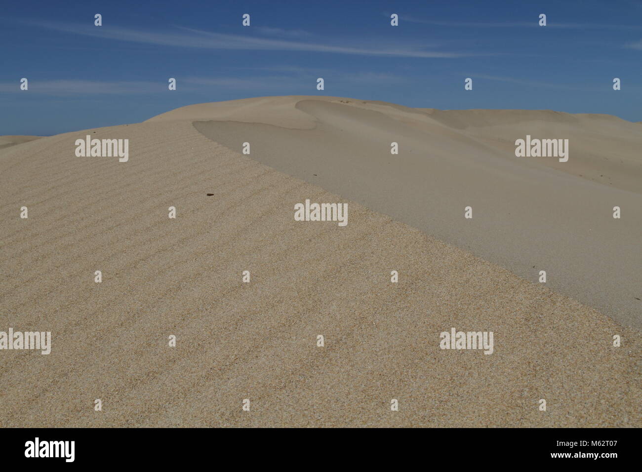 Eastern Cape duna di sabbia Foto Stock
