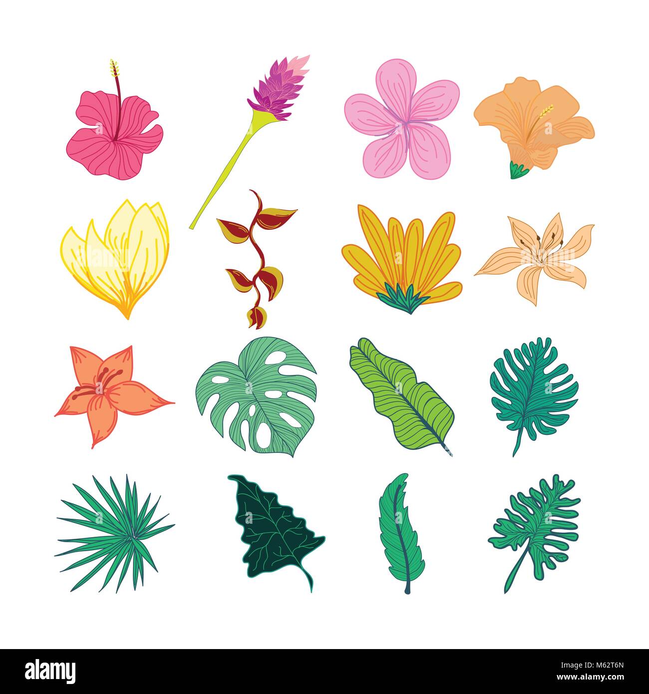 Decorativa di fiori tropicali e foglie disegnati a mano illustrazione vettoriale Design Illustrazione Vettoriale