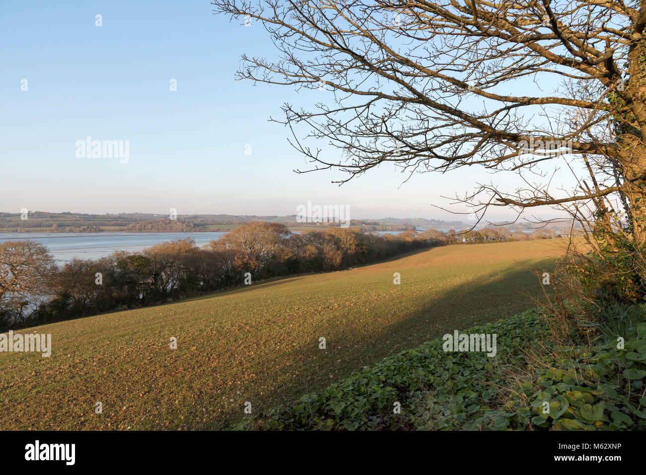 Sheviock, East Cornwall, England Regno Unito. Scena invernale delle superfici agricole e di St tedeschi fiume con la bassa marea. Febbraio 2018 Foto Stock