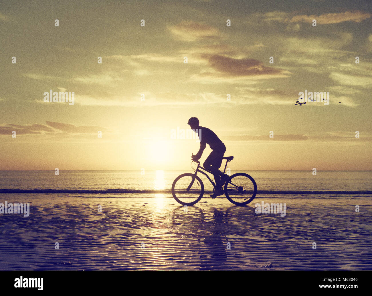 Mountain biker sulla spiaggia al tramonto con gli uccelli volare dietro. Foto Stock