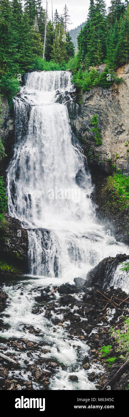 Tall ritratto sullo sfondo della cascata in British Columbia Foto Stock